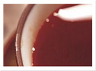 手机号验证码轰炸平台